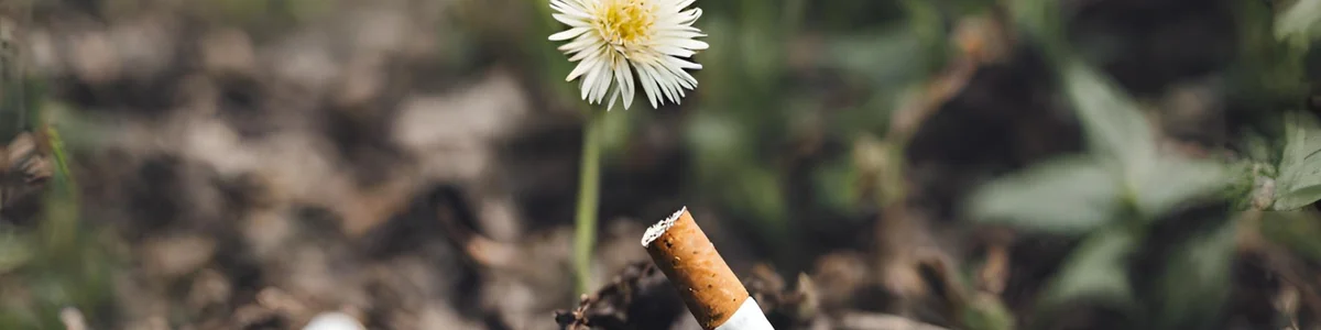Cigarette à côté d'une fleur AT